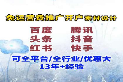 某品牌SEM推广代运营的实践与效果评估